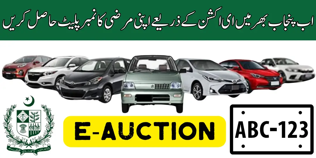 Punjab E-Auction